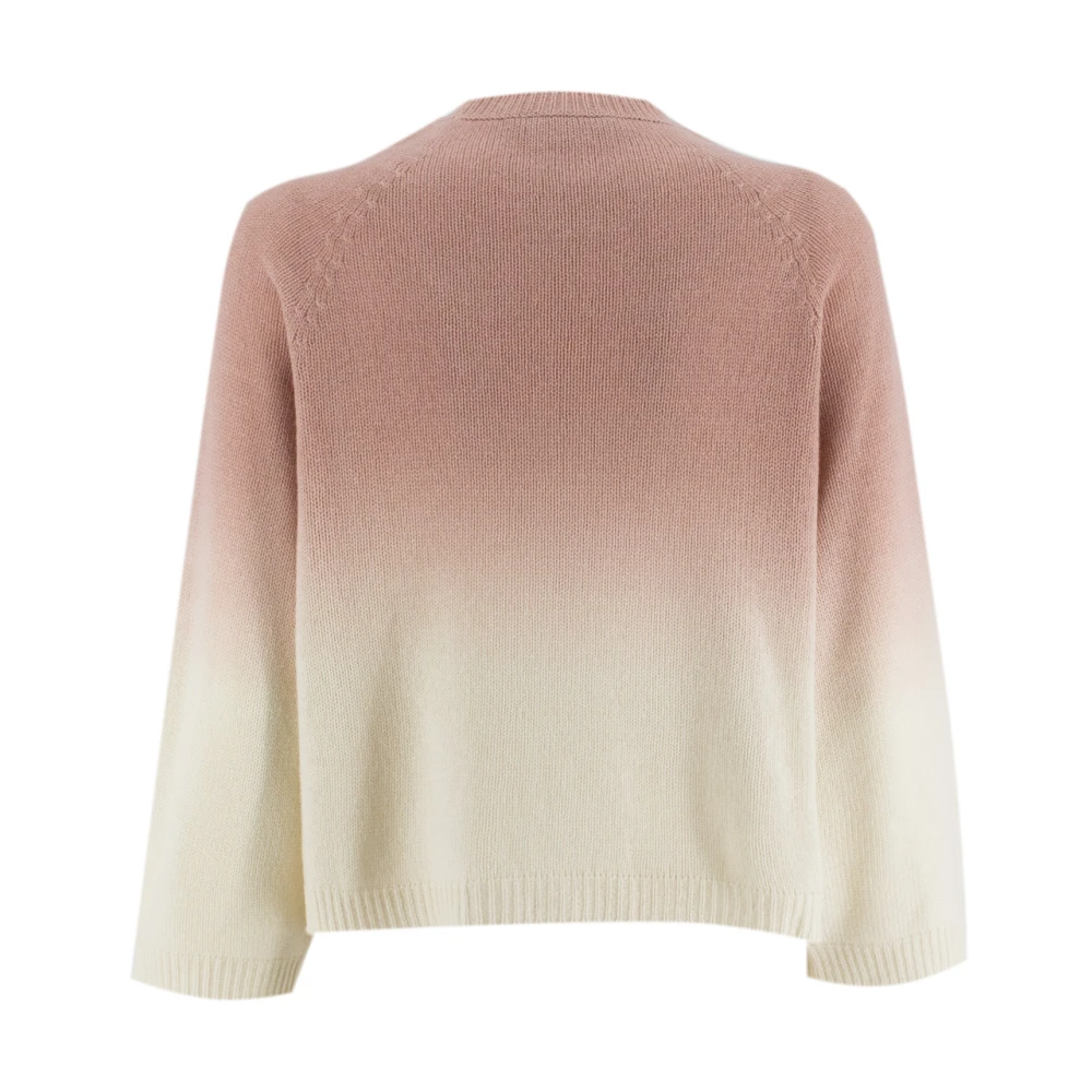 Fabiana Filippi Platinum Oversized Crew-Neck Sweater Multicolor Dames