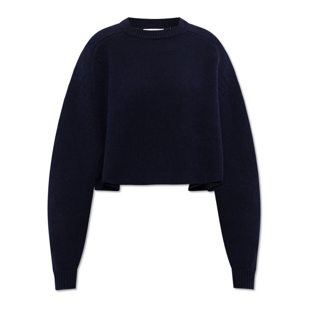 Knitwear > Cashmere Knitwear - - Lisa Yang - Modalova