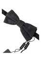 papillon-en-soie