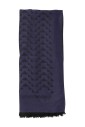 blue-chevron-eagle-logo-scarf