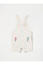 regenboog-streep-ijs-overall