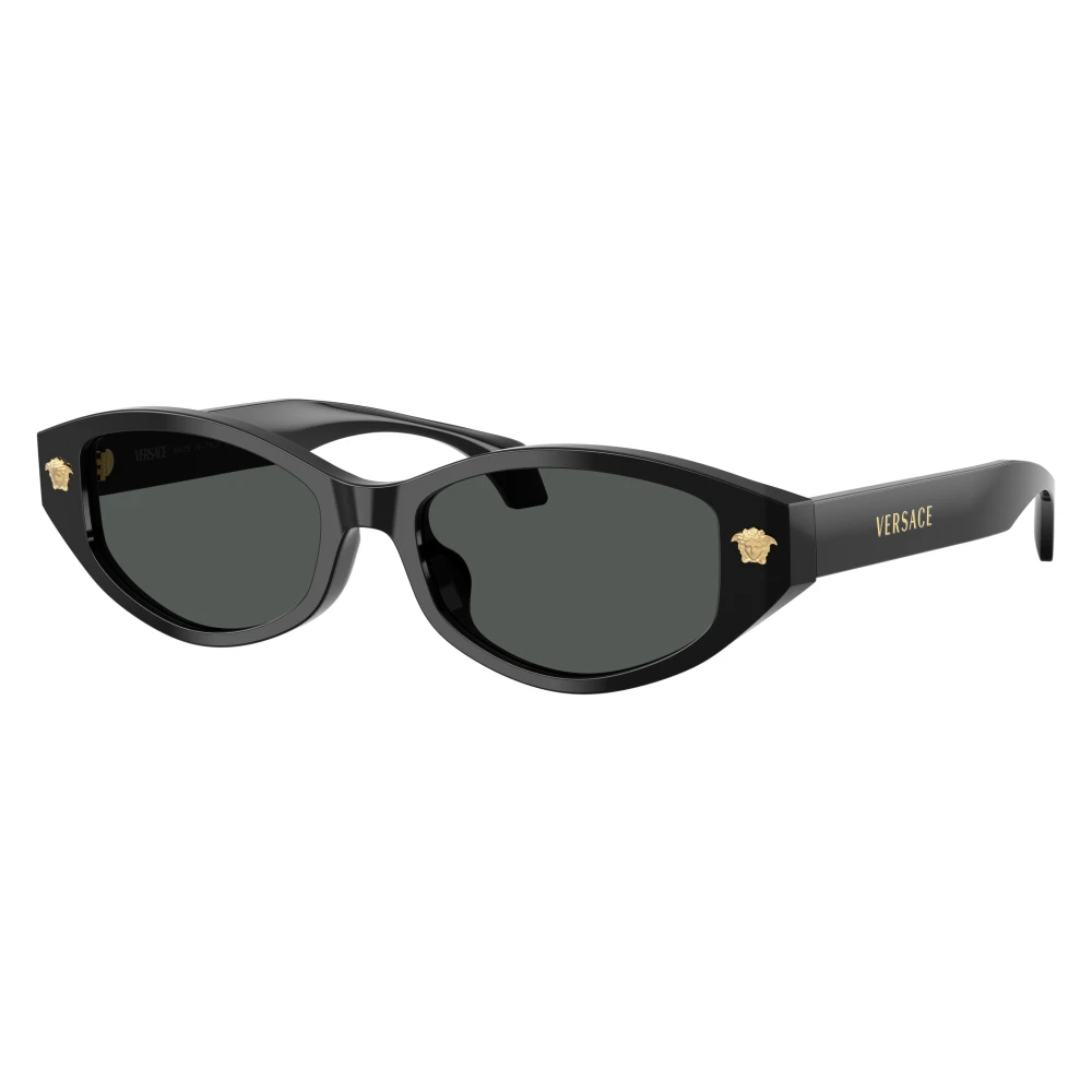 Versace Unisex Black Sunglasses, 54 Mm, Ve4512d Sunglasses