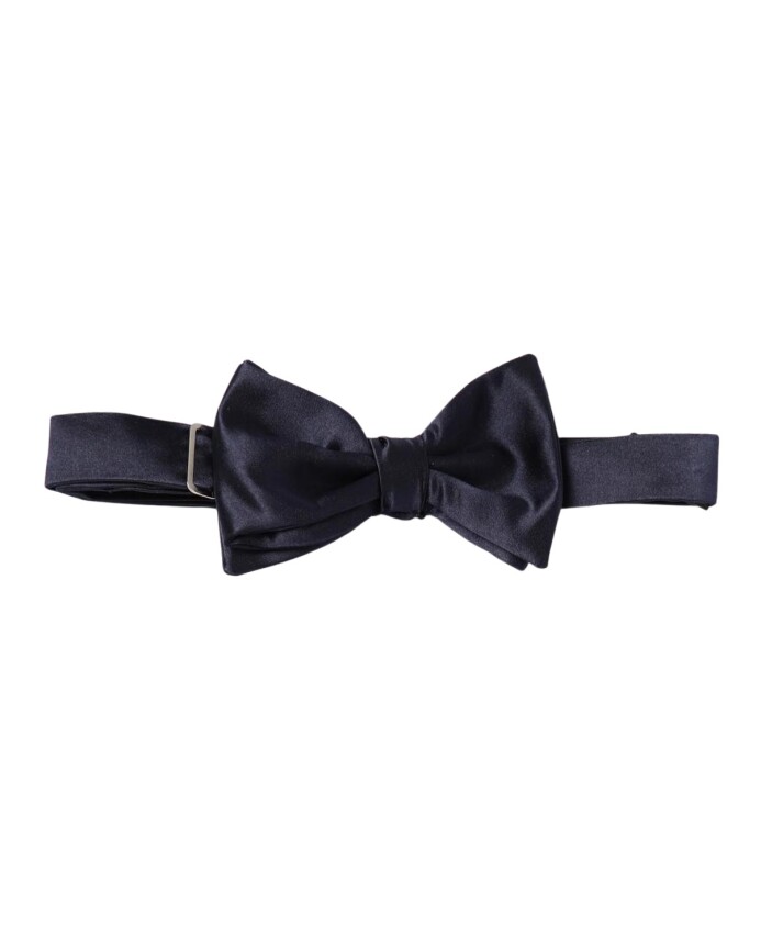 papillon-en-soie-bleu-style-elegant