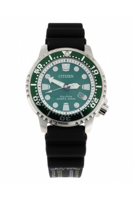 pro-master-watch