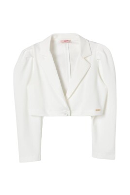 stylish-puffed-sleeves-blazer