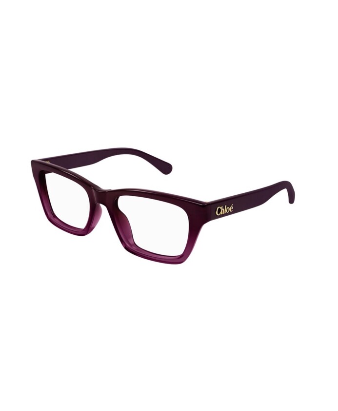 burgundy-sunglasses-model-007