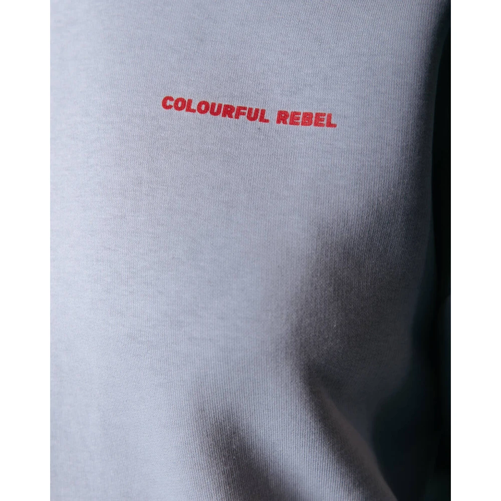 Colourful Rebel World Tour Clean Hoodie Gray Dames