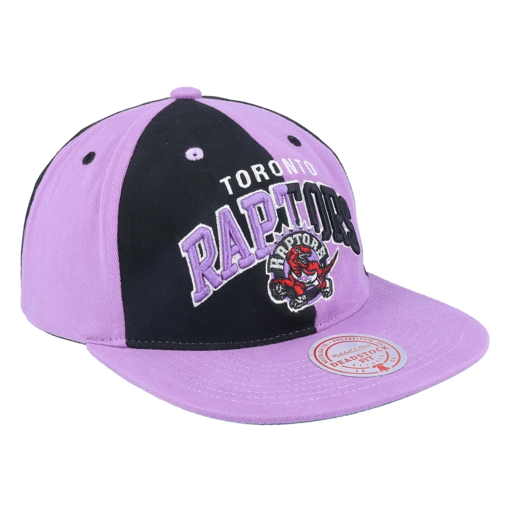 Mitchell & Ness Toronto Raptors Pet Multicolor Heren