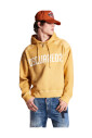 sweat-a-capuche-gris-avec-imprime-nuageux