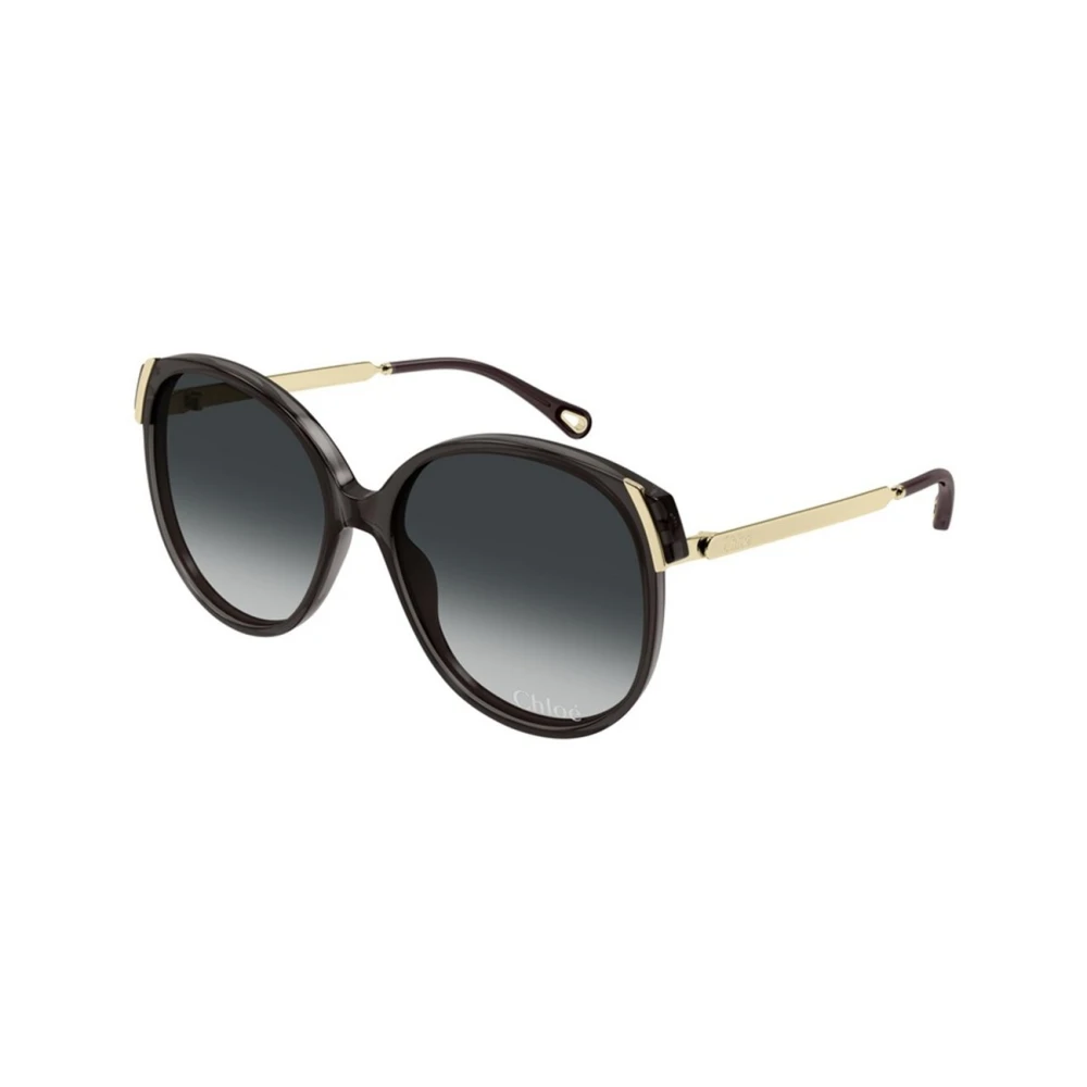 Accessories > Sunglasses - - Chloé - Modalova