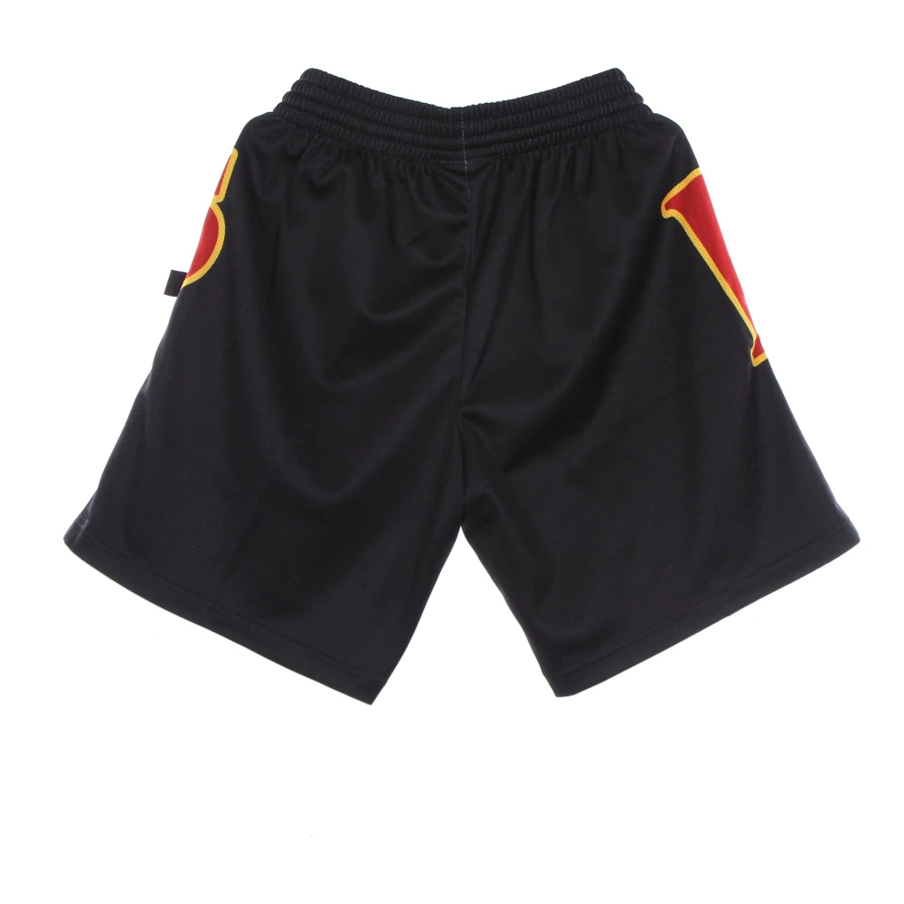 Mitchell & Ness NBA Basketball Shorts Hardwood Classics Multicolor Heren
