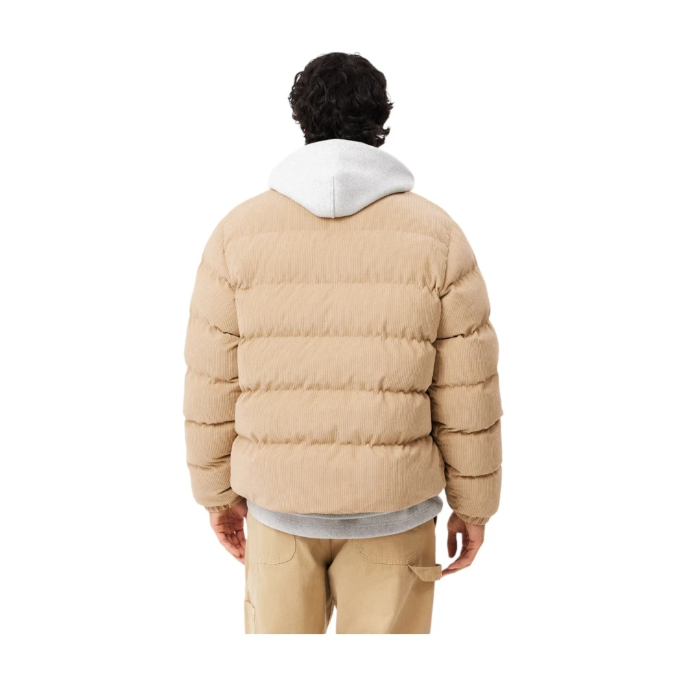 Lacoste Velours Gewatteerde Winterjas Beige Heren