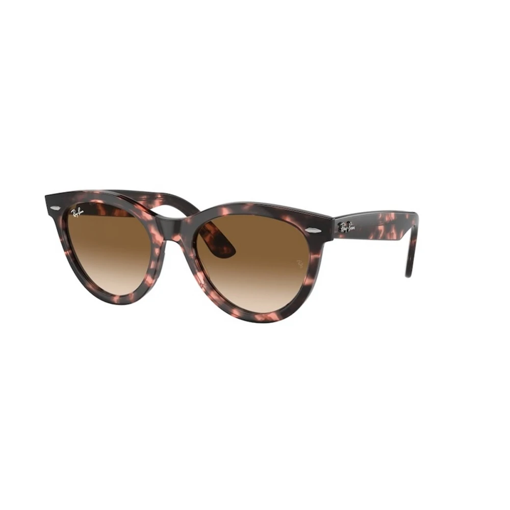 Ray-Ban Unisex Brown Classic Wayfarer Style Sunglasses