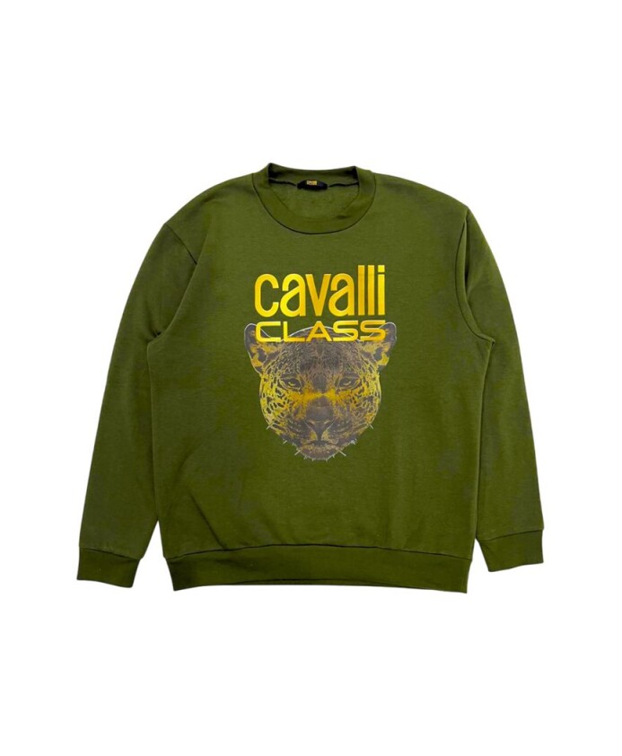 sweat-a-capuche-vert-avec-logo-maxi