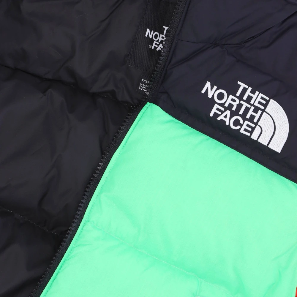 The North Face Retro Nuptse Donsjack Chlorophyll Groen Multicolor Heren