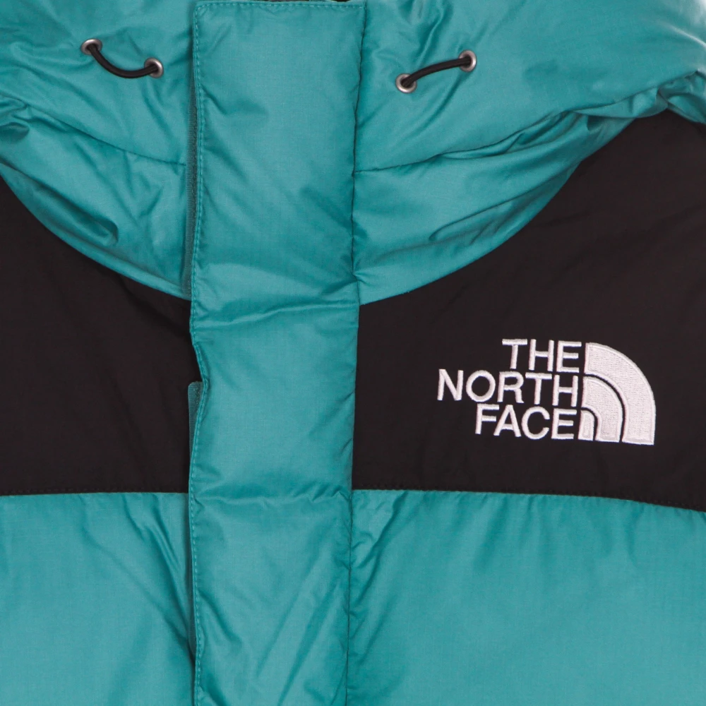 The North Face Groene Dons Parka Jas Green Heren