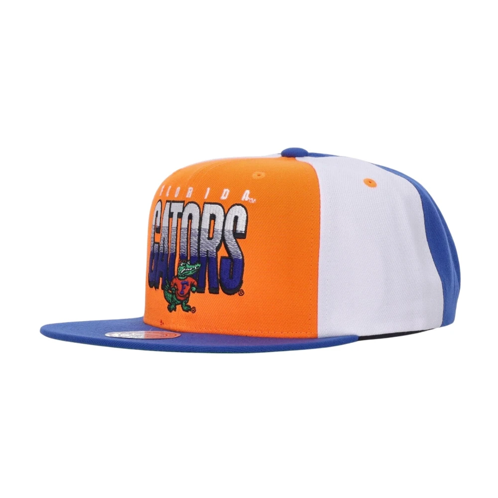 Mitchell & Ness Florida Gators Platte Klep Pet Multicolor Heren