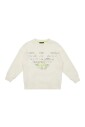 sweatshirt-aigles-geometriques
