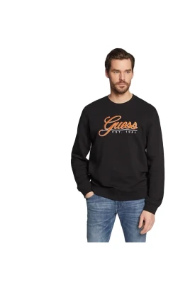 Stilig Herr Sweatshirt - Beau