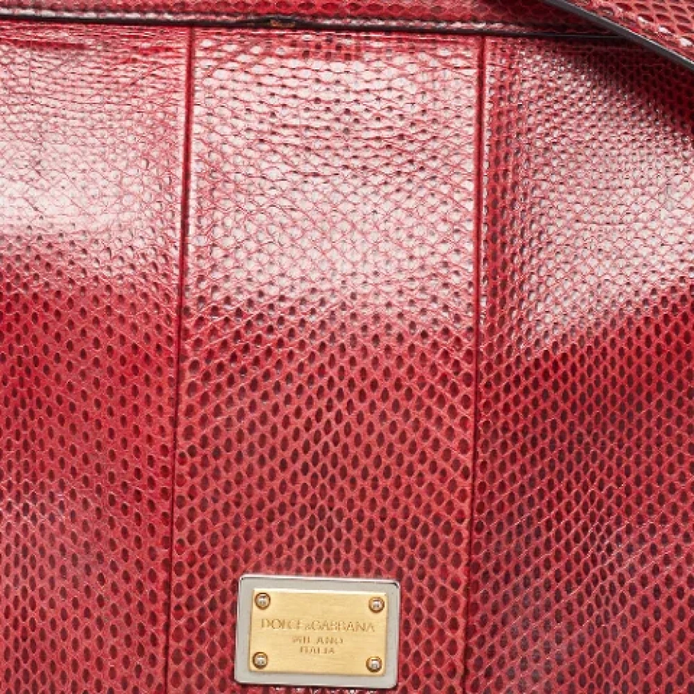 Dolce & Gabbana Pre-owned Leather handbags Red Dames