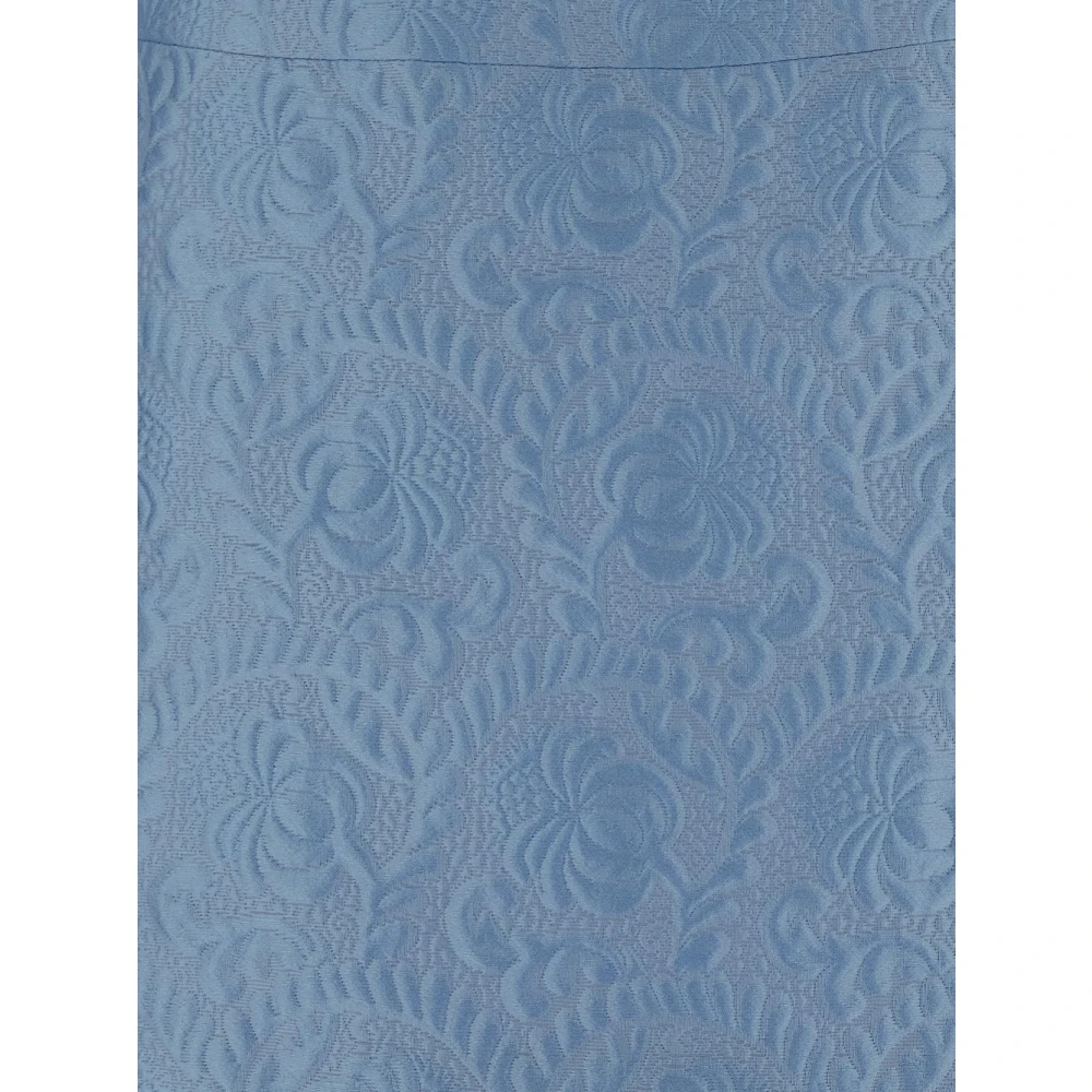 Dolce & Gabbana Bloemen Jacquard Minirok Blue Dames