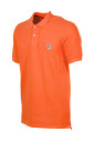 polo-zebre