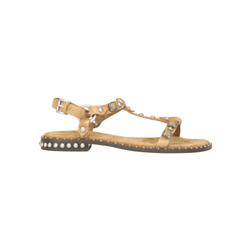 Ash Brown Flat Sandals, Female, 4 Uk, Flat Sandals
