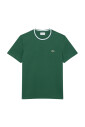 t-shirt-vert