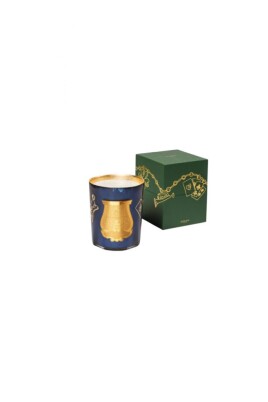 christmas-fir-candle-2022