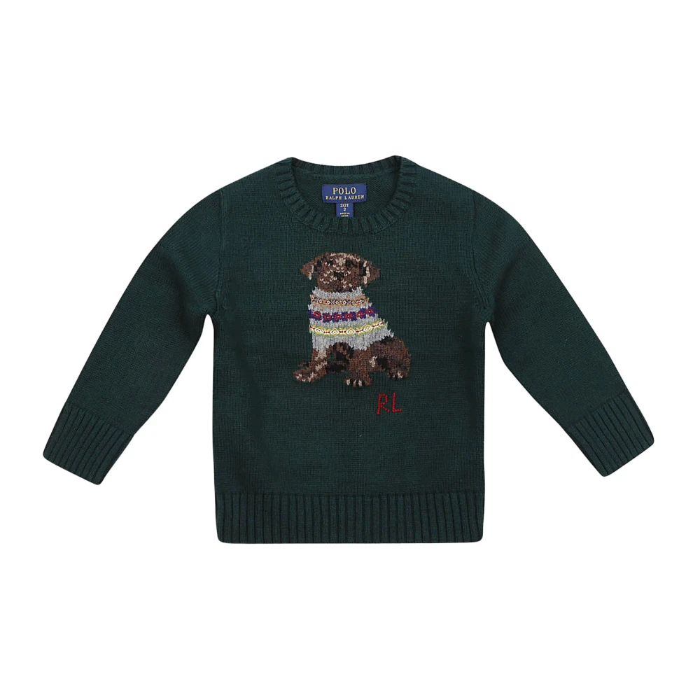 Ralph Lauren Hunt Club Grön Hundtröja Pullover Green, Pojke