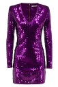 le-petit-ermitage-mini-dress