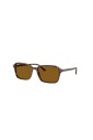 lunettes-authentiques-raimond-qualite-premium