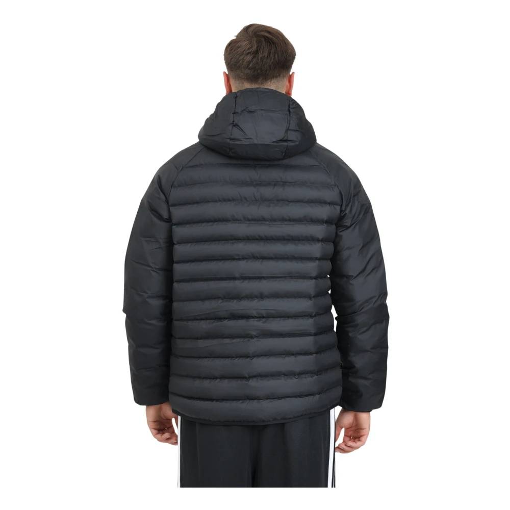 adidas Originals Zwarte Puff Hooded Jas Black Heren