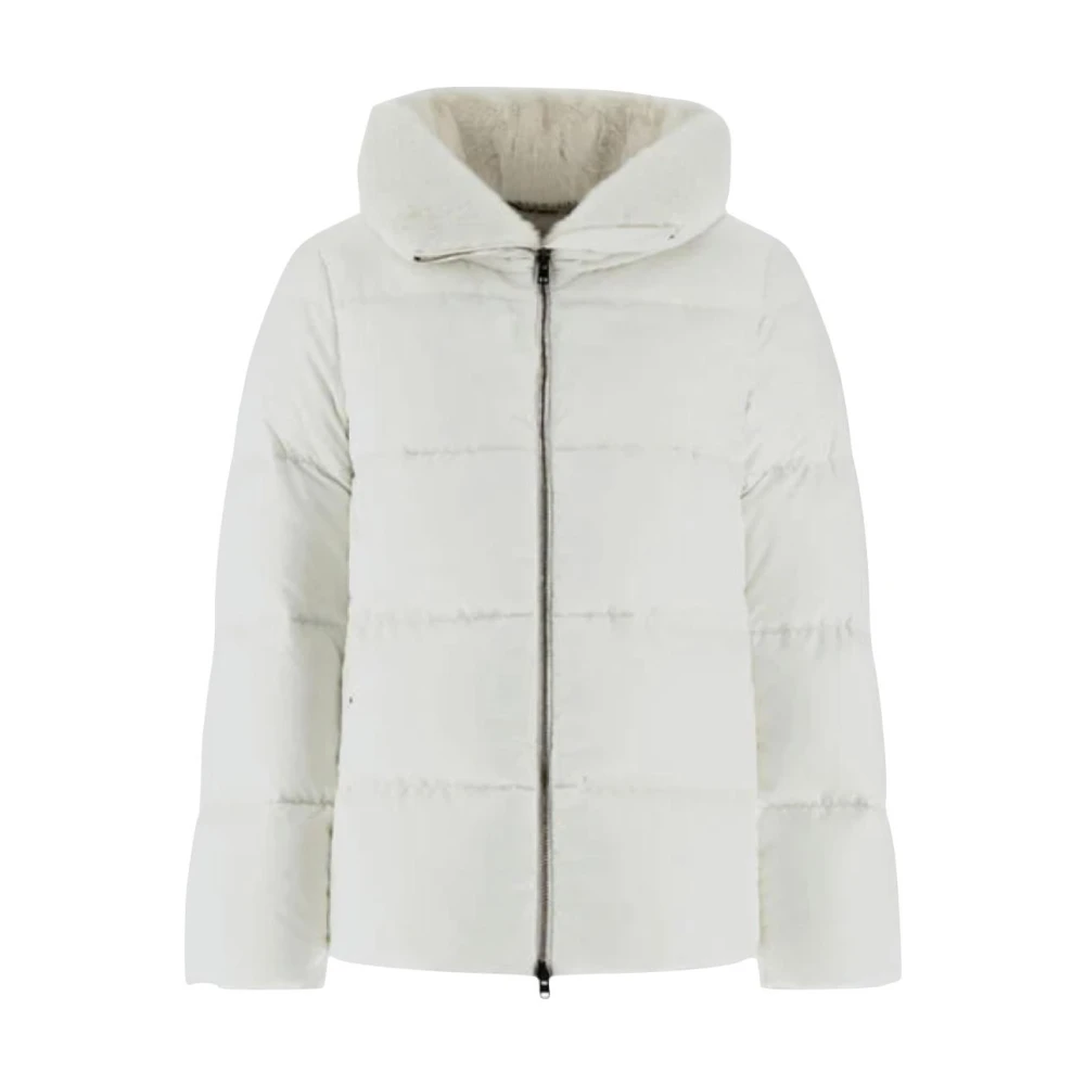 Jackets > Winter Jackets - - Herno - Modalova