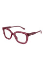 ch0229o-003-optical-frame
