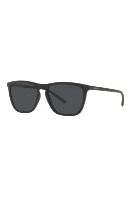 sunglasses-fry-an-4301