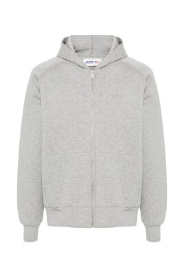 sweat-a-capuche-zippe-gris-chine