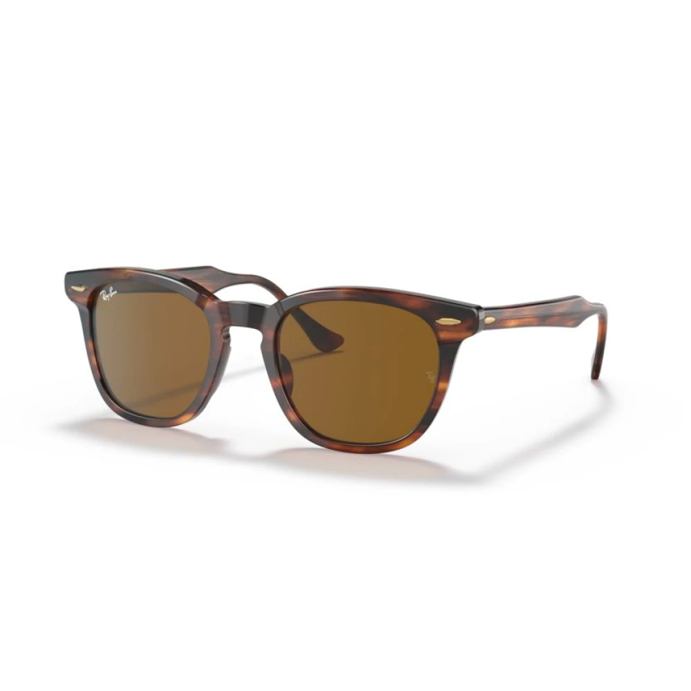 Ray-Ban Unisex Brown Sole Sunglasses