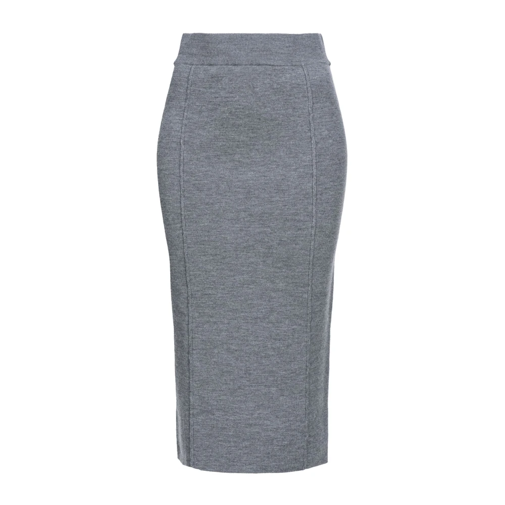 Pinko Grijze Pencil Rok Hoge Taille Rits Gray Dames