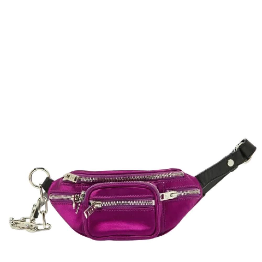Pre-owned > Pre-owned Bags > Pre-owned Belt Bags - - Alexander Wang Pre-owned - Modalova