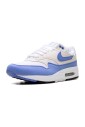 royal-pulse-air-max-1-sneakers