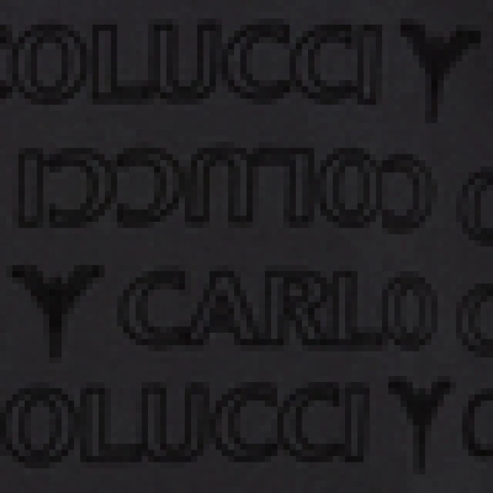 carlo colucci Monogram Flock T-shirt Black Heren