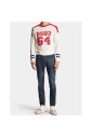skater-jean