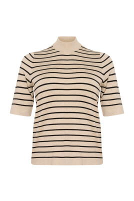 pull-a-col-roule-raye-gris-plume-noir