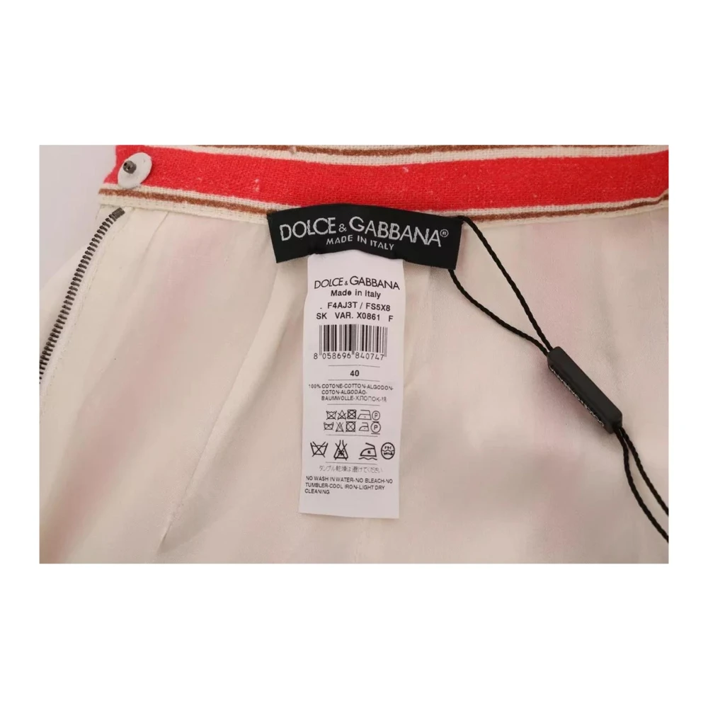Dolce & Gabbana Multicolor Gestreepte Minirok Verticale Streep Multicolor Dames
