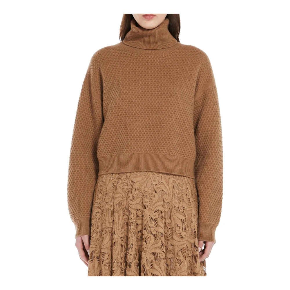 Max Mara Studio Kasjmier Coltrui Trui Vrouwen Zwart Brown Dames
