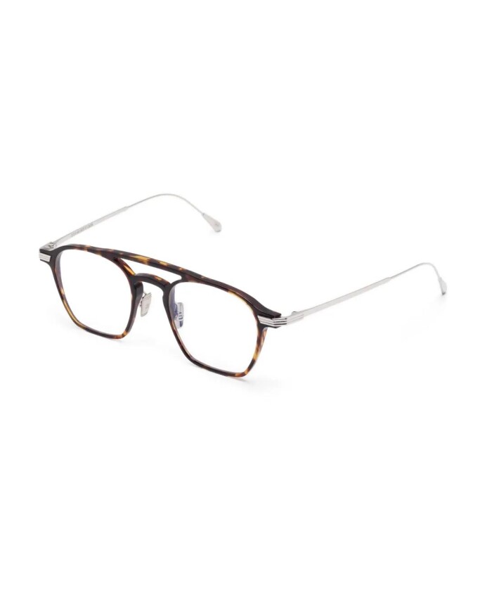 auop0009-02-optical-frame