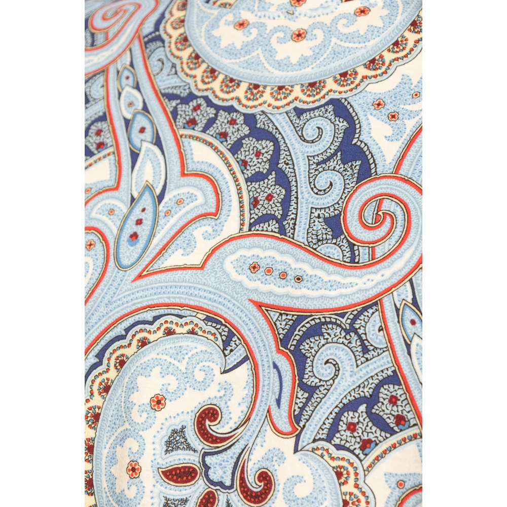 ETRO Gestreept T-shirt Multicolor Heren