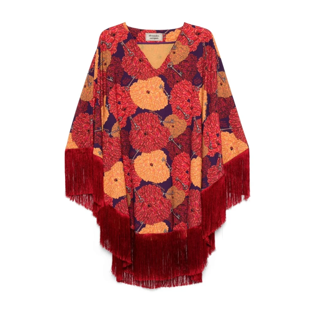 Alessandro Enriquez Grafische Print V-Hals Jurk Multicolor Dames