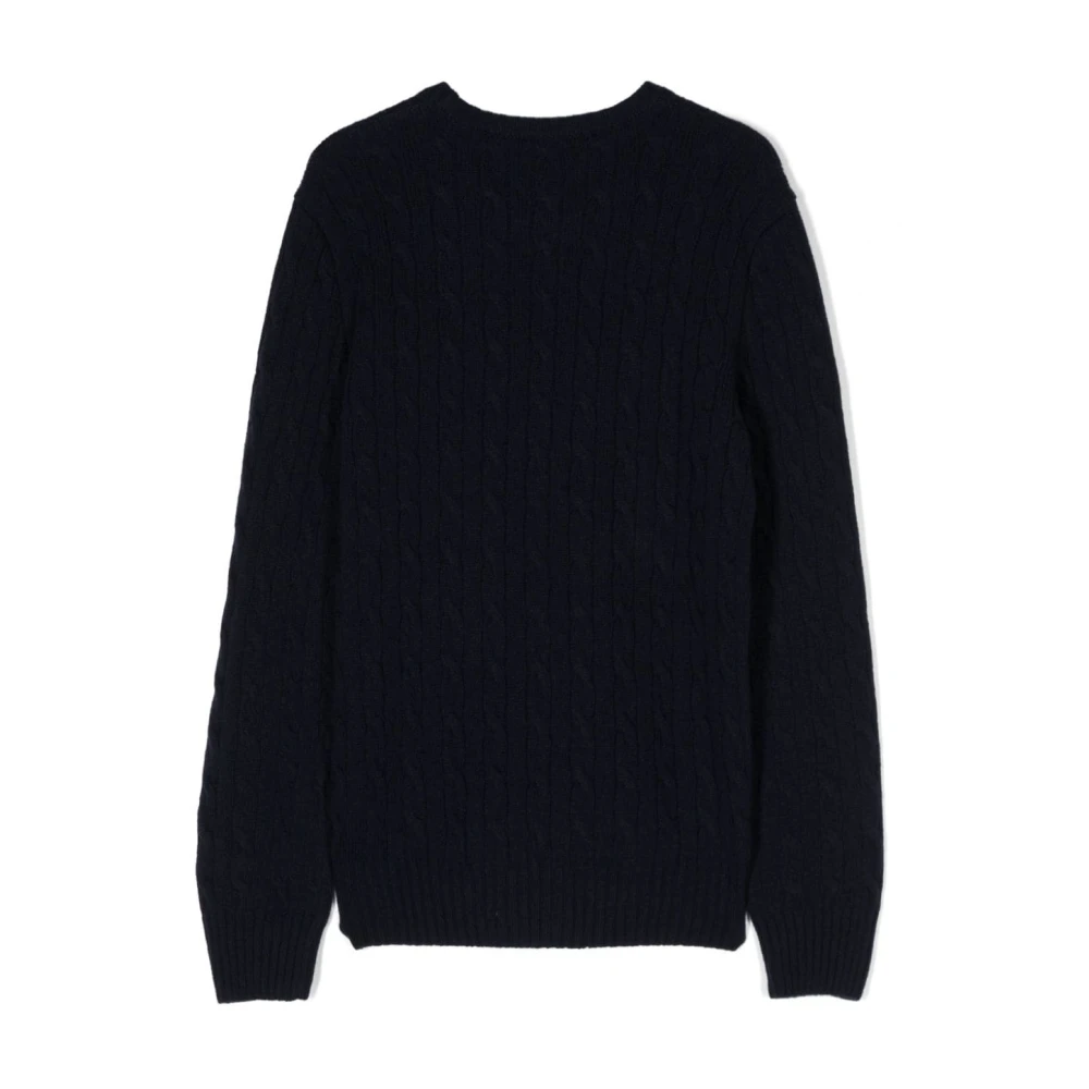 Polo Ralph Lauren Casual Sweater Pullover voor Mannen Blue Heren